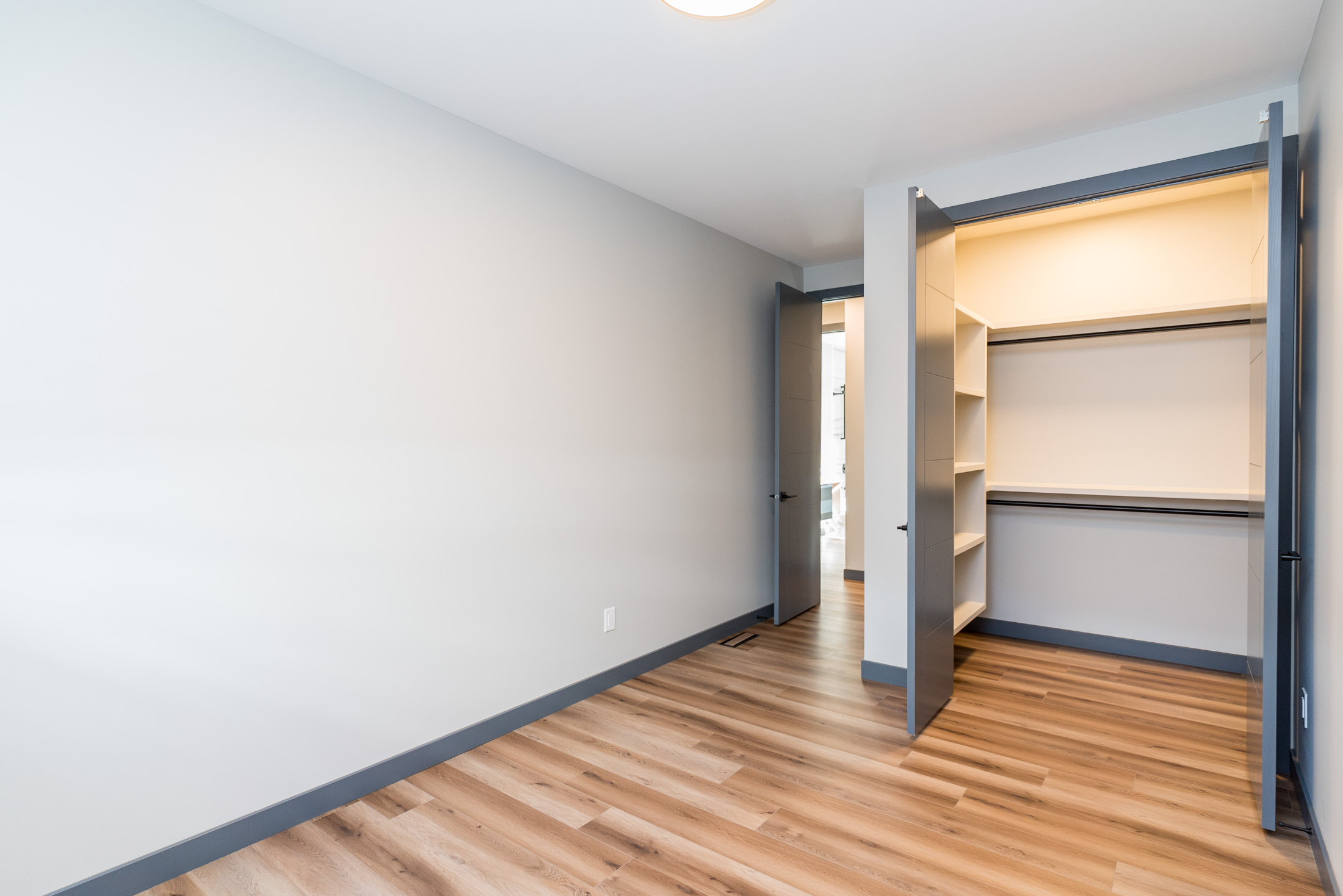         2nd bedroom features walk in closet with lighting
